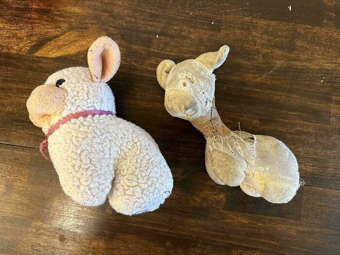 Two plush toys on a wooden surface, one new and fluffy, the other worn and threadbare; mildly interesting contrast.