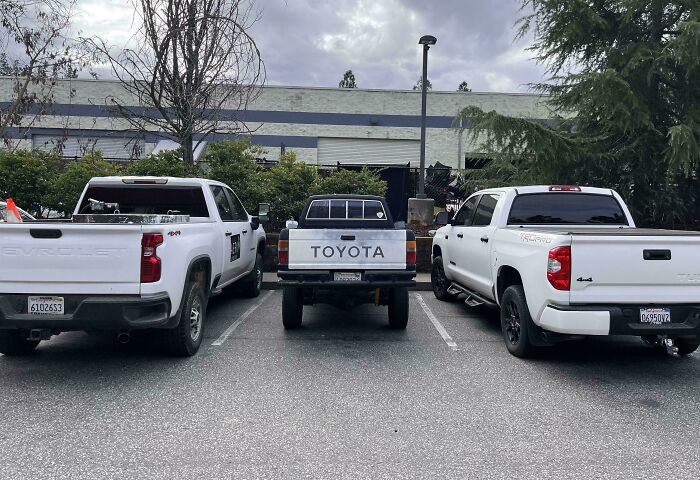 Three trucks parked side by side in a lot, with trees and a building in the background.