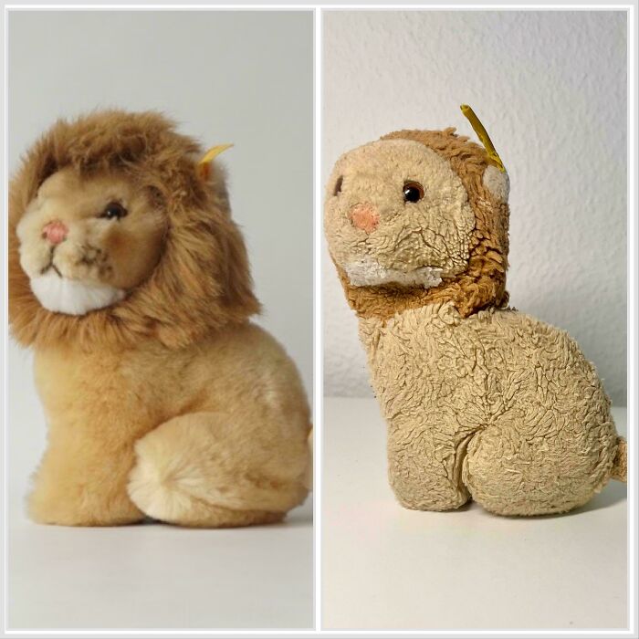 Two plush lions side by side, one new and the other worn; a mildly interesting comparison.