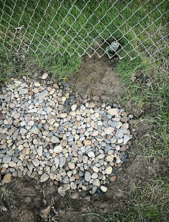 Drain pipe from terrible neighbors causing water to flow under a mesh fence, pooling near scattered gravel rocks.