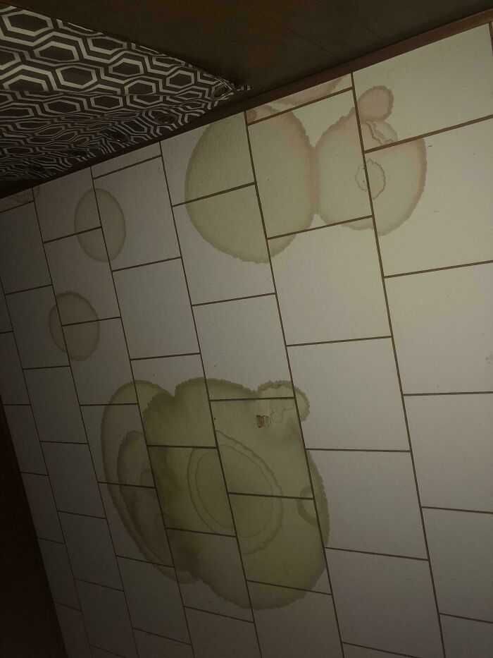 Stained ceiling tiles indicating issues with terrible neighbors and potential water leaks.
