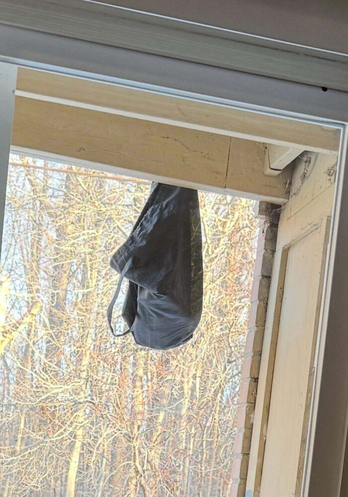 Bag stuck in a window frame, reflecting infuriating terrible neighbors' antics on a sunny day.