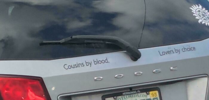 Florida license plate on a gray Dodge with funny text, "Cousins by blood. Lovers by choice," capturing a wild moment.