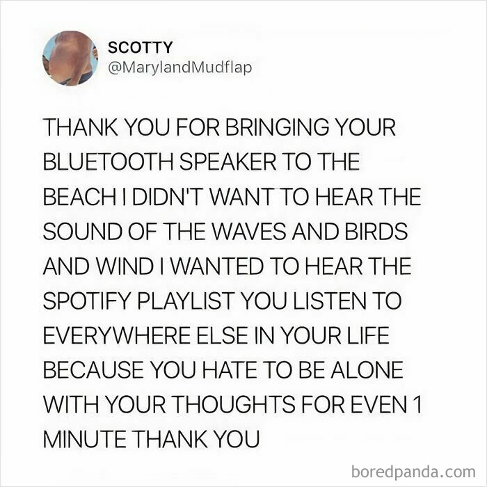 Relatable meme about Bluetooth speakers at the beach, poking fun at not enjoying natural sounds.