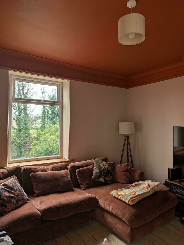 Cozy living room with brown sectional sofa, decorative pillows, and a lamp, perfect for beautifully decorated homes inspiration.
