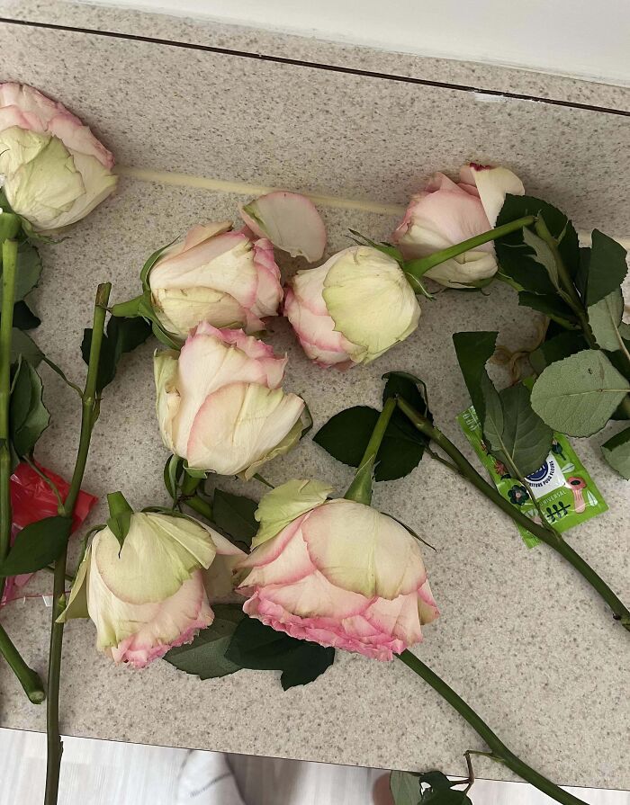 Wilted roses scattered on a countertop, illustrating Valentine's Day fails.