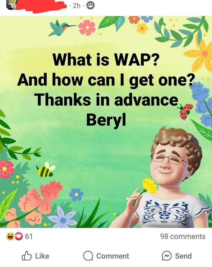 Boomer humor on social media: A cartoon woman asks "What is WAP?" on a floral background.