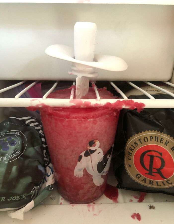 Frozen drink overflowing in freezer with blender stick inside; a possible mistake by dumb kids.