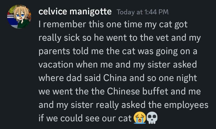 Chat message about a child's confusion over a pet cat's vacation to China.