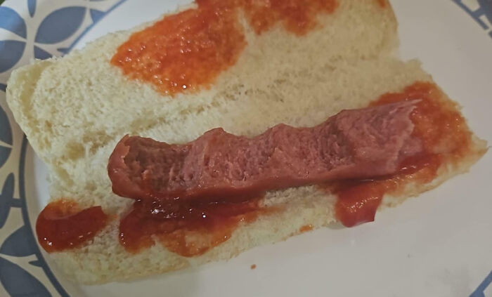 Dumb-Clueless-Kids attempt at a hot dog with a bun, sauce, and cut sausage on a plate.