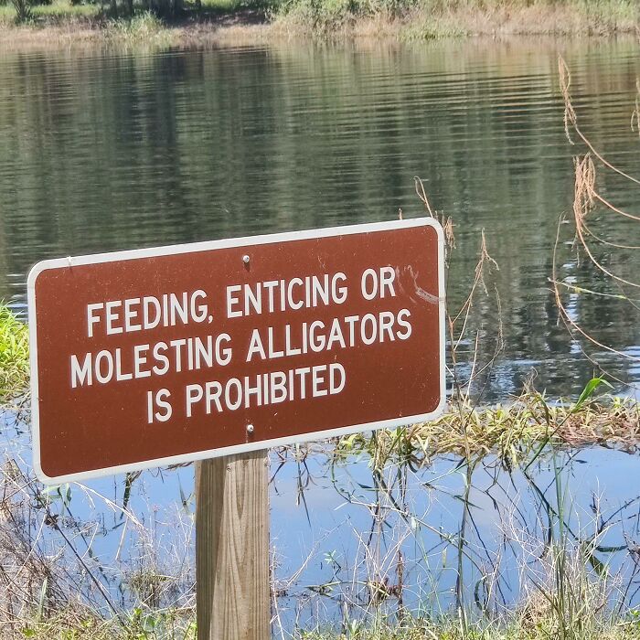 Sign near a water body in Florida cautioning against interacting with alligators, highlighting Florida wild moments.