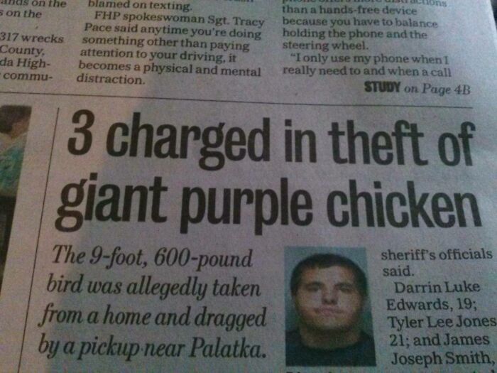 Newspaper headline about theft in Florida featuring a giant purple chicken incident.