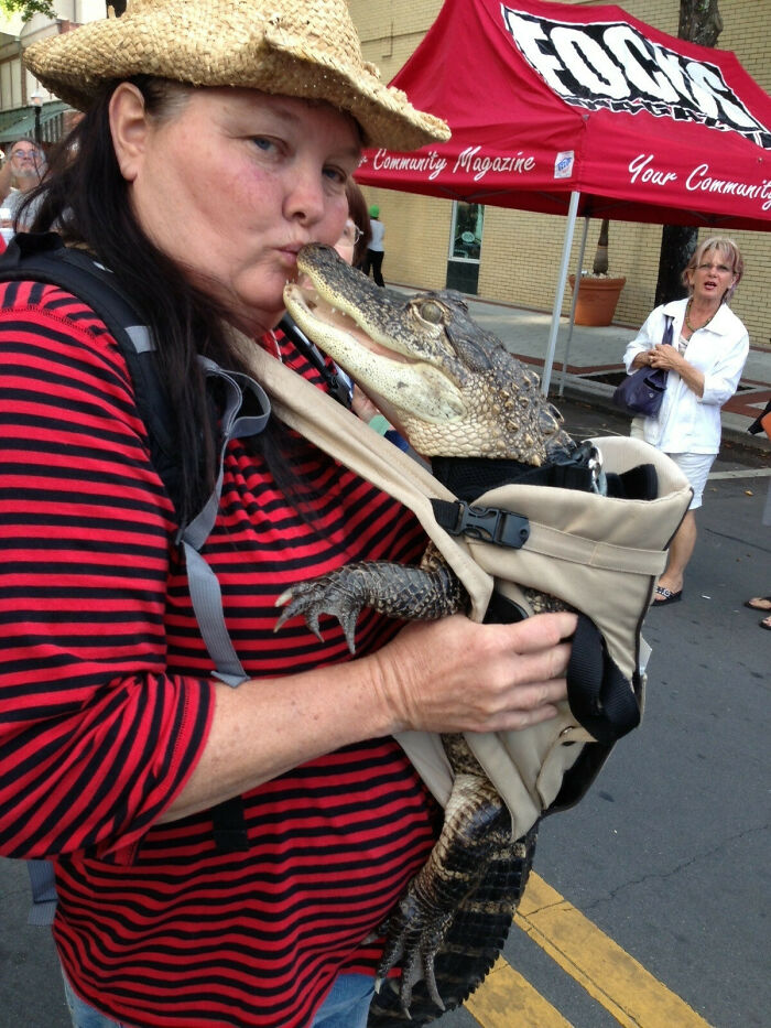 Woman in a striped shirt playfully holding an alligator in a street scene, capturing a unique Florida wildlife moment.