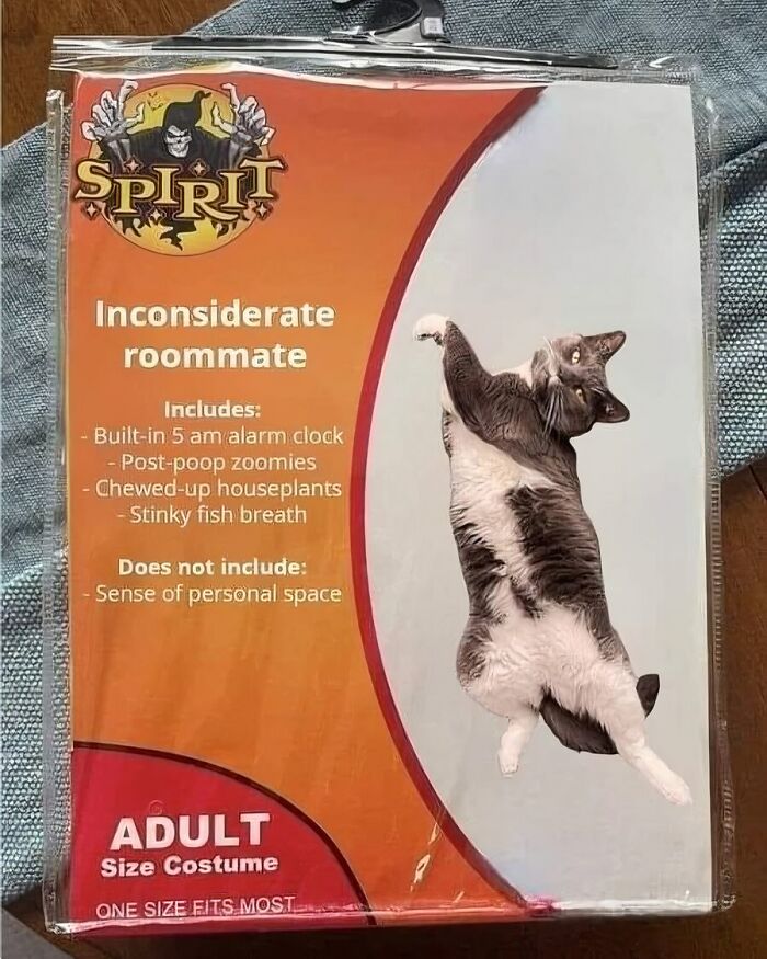 Funny "inconsiderate roommate" cat costume package with humorous features listed, including a leaping cat image.