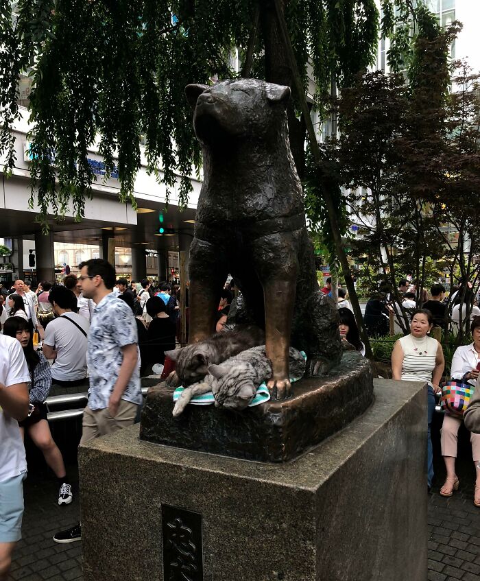 Hachiko statue in Japan, with cats resting at its base, surrounded by a crowd in the bustling city.