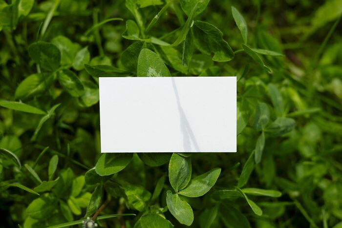 Blank white card on green leaves backdrop, symbolizing a clean slate for office jokes.