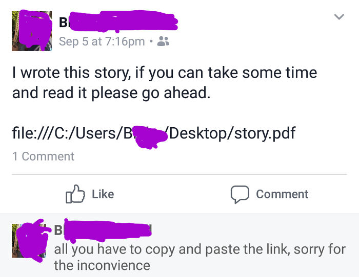 Boomer's social media post mistakenly shares a local file path for a story instead of a web link.