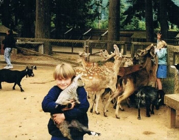 Child hugging a goat at a petting zoo surrounded by deer and other animals in an awkward family photo setting.