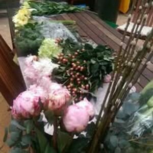 maryjmcmullen avatar