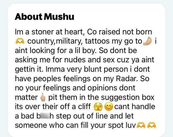 Text about "Mushu," a blunt person with strong opinions, military roots, and tattoos, seeking a respectful connection.