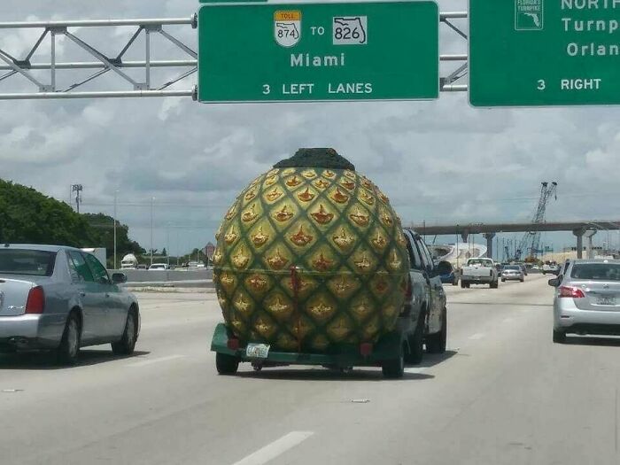 Vehicle towing a large pineapple sculpture on a Miami highway, capturing a unique Florida wild moment.