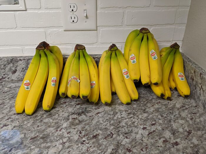 Bunches of bananas arranged on a kitchen counter, a scene highlighting hilarious misunderstandings in everyday shopping.