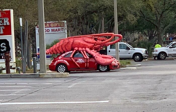 Red car with large lobster on top in a Florida parking lot, capturing Florida-Wild-Moments.