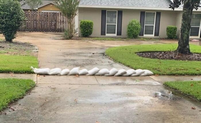 Sandbags lined up for flood protection in a Florida driveway, showcasing a typical wild moment of storm preparation.