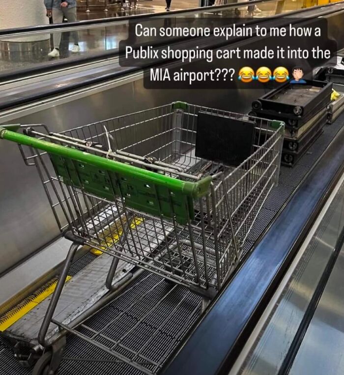 Publix shopping cart on an airport escalator, capturing a humorous Florida wild moment at MIA airport.