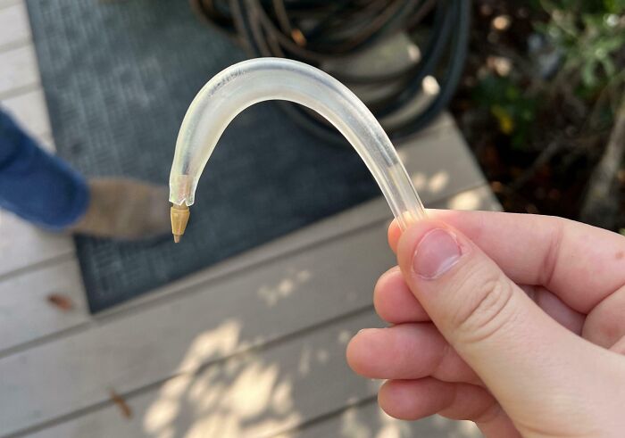 Hand holding a curved pen as part of a Florida wildlife-themed moment on a sunny day outdoors.