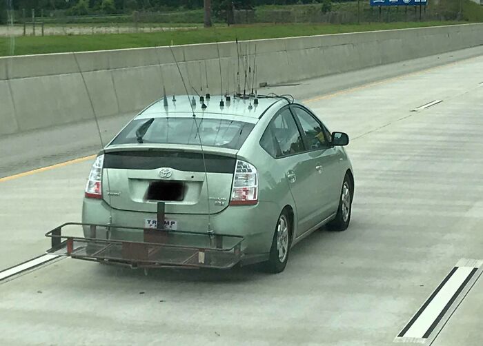 Car on Florida highway with numerous fishing poles on roof, highlighting unique wild moments.