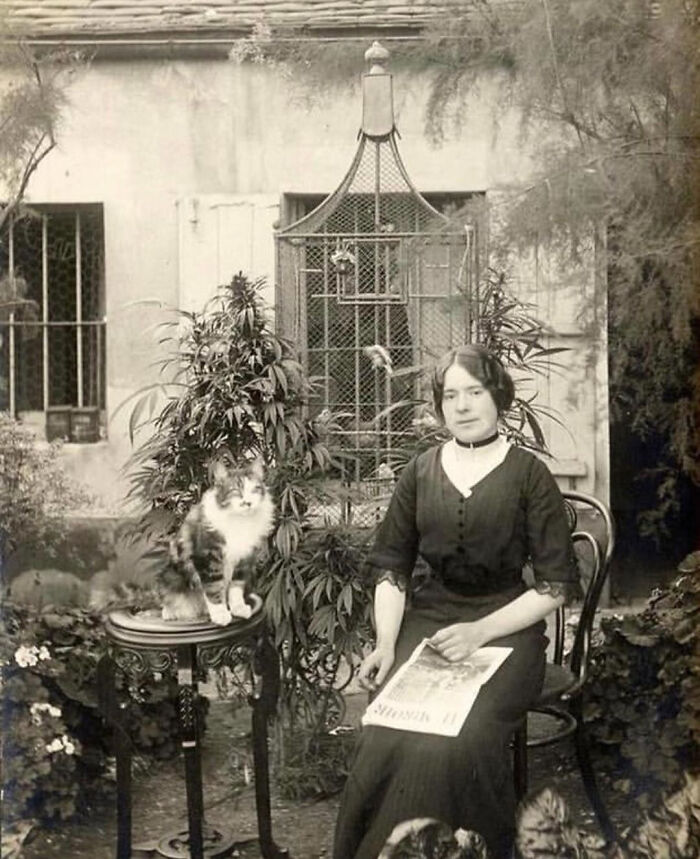 Vintage cat photo featuring a woman seated beside a fluffy cat on a garden table, holding a magazine.