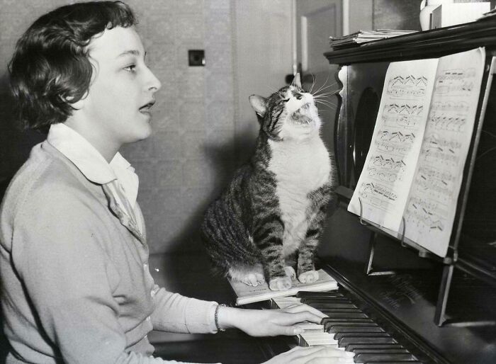 Vintage cat photo of a cat sitting on a piano next to a woman singing, both appearing engaged in the musical activity.