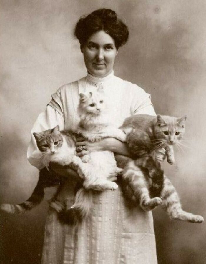 Woman holding three cats in a vintage photo, showcasing early 20th-century style and charm.