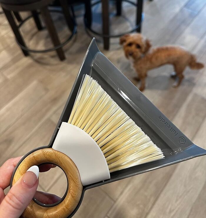 Hand holding a triangular brush, with a small dog in the background; showcasing a cult favorite product.