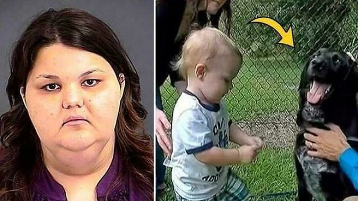 A collage with a woman and a child near a smiling dog, highlighting interesting facts people share.