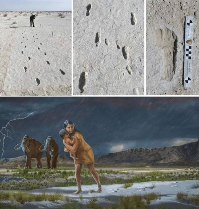 Ancient footprints discovered at an archaeological site, with an illustration of early humans and mammoths.