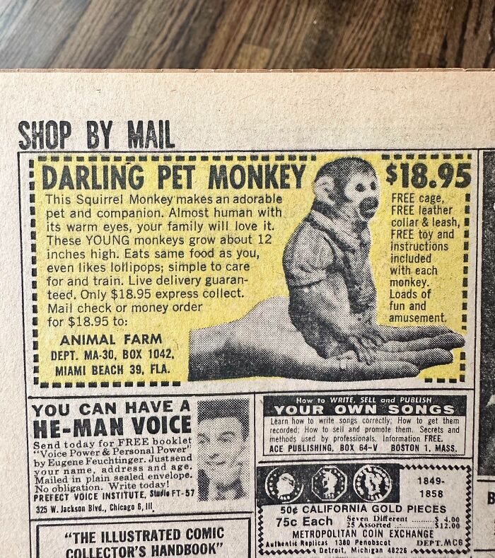 Vintage ad featuring a squirrel monkey for sale by mail, highlighting Cool-Old-Things from the past.
