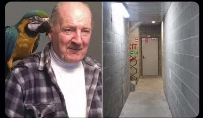 Man with a parrot on his shoulder, wearing a checkered shirt, beside a narrow hallway. Interesting facts shared visually.