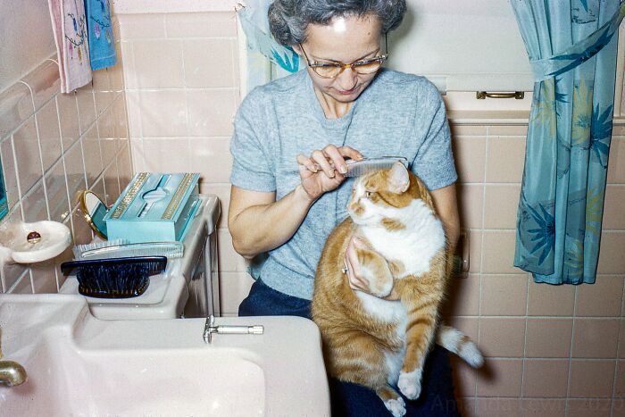 A woman combing a vintage cat in a bathroom, with a retro decor and a pink sink.
