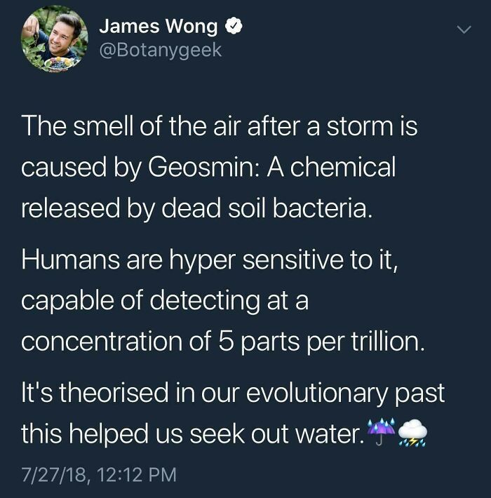 Tweet sharing an interesting fact about geosmin's role in post-storm air smell.