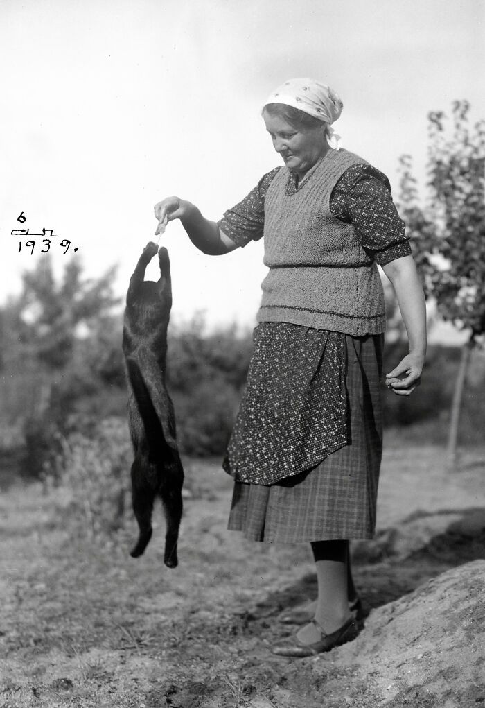 A woman holding a vintage cat by its front paws outdoors, 1939.