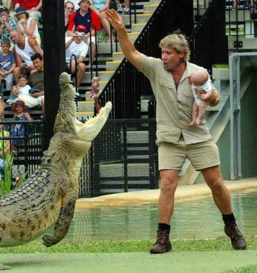 Zookeeper presenting to a crowd, holding a baby near a jumping crocodile, in an historical photo.