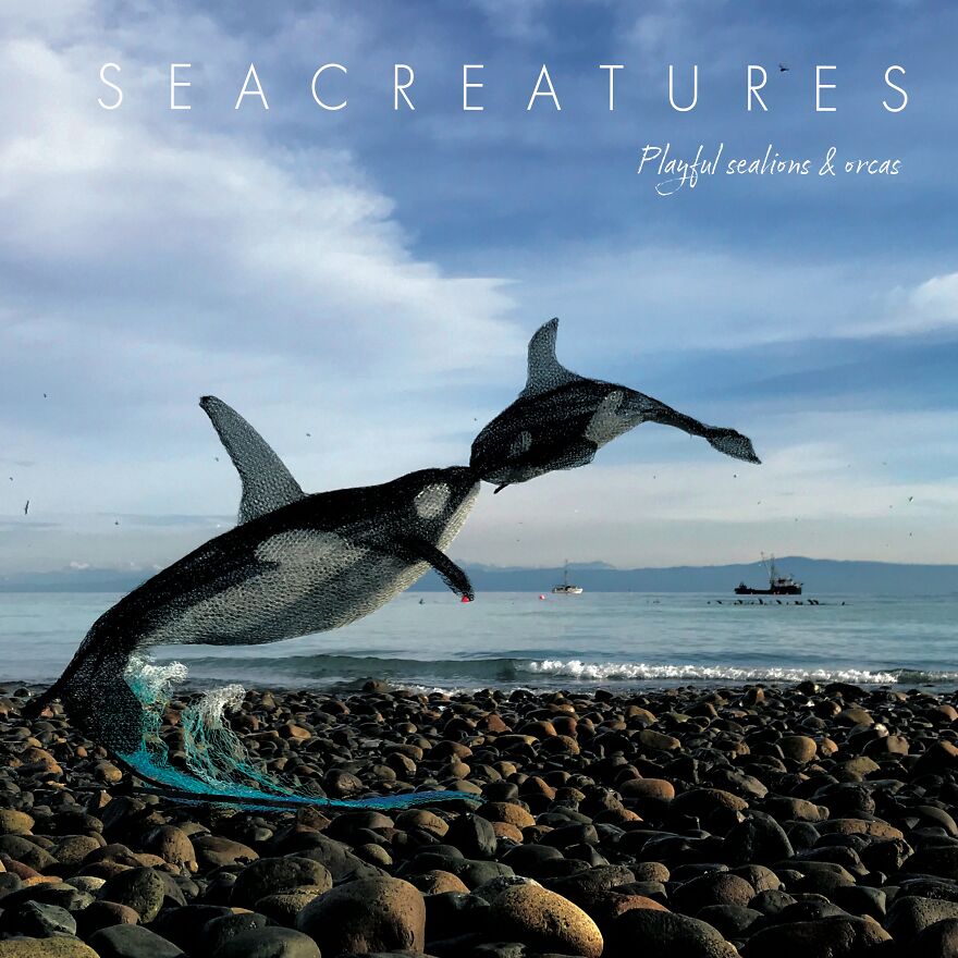 Chicken wire sculptures of playful sea lions and orcas on a rocky beach.