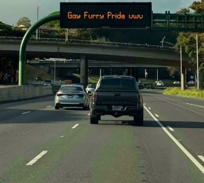 Highway sign humorously displays "Gay Furry Pride uwu" on an electronic billboard.