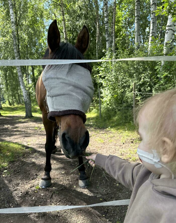 Young child feeding a horse outdoors, capturing wholesome dads doing their best parenting moments with nature and animals.