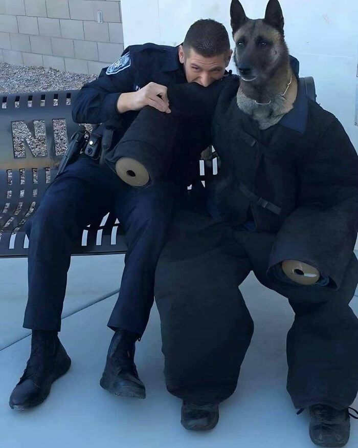 Policía sentado junto a perro con traje protector entrenado, imagen divertida que provoca risa y curiosidad viral.