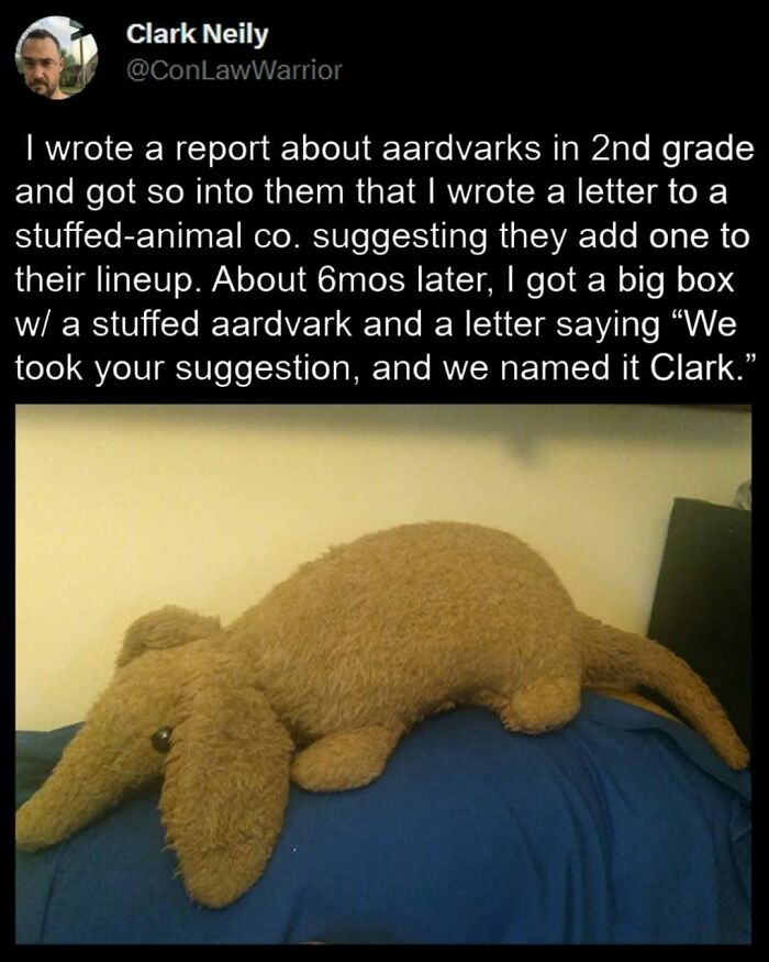 Stuffed aardvark laying on a blue surface with a cheerful story about its creation from a suggestion.