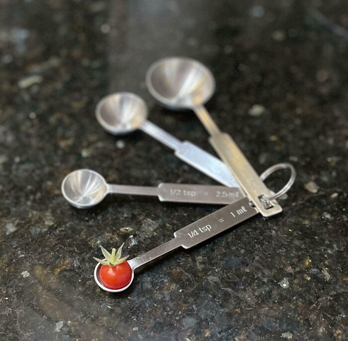Tiny tomato perfectly fits in a 1/4 teaspoon, mildly interesting kitchen scene with measuring spoons.