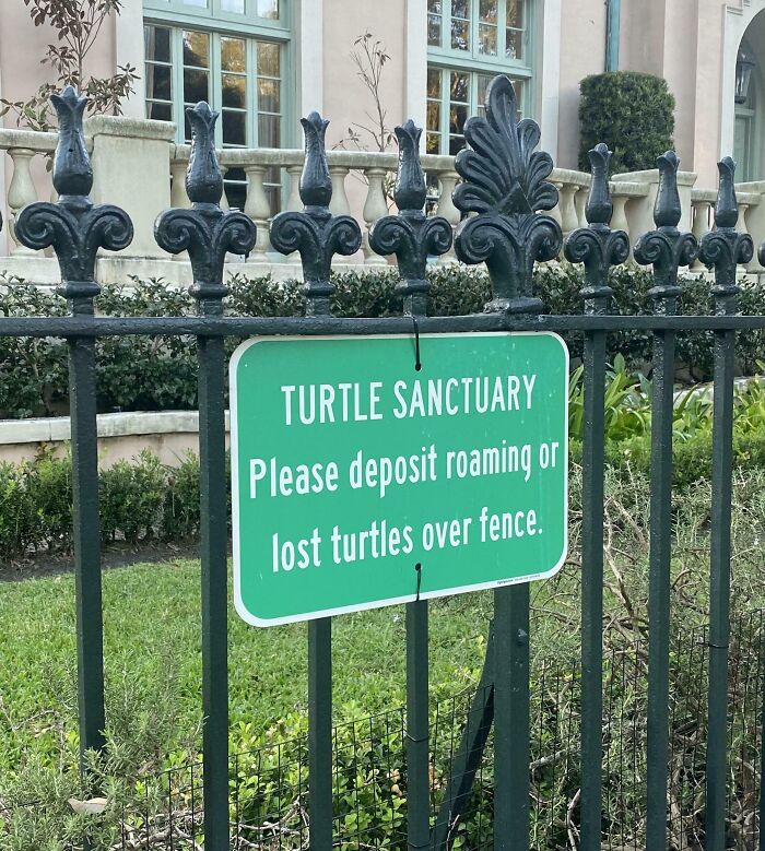 Turtle sanctuary sign on fence, requesting to deposit roaming turtles. Mildly interesting scene outside a residential building.